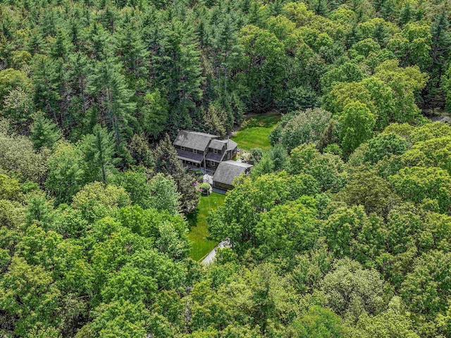 56 Averill Rd, Brookline, NH 03033 - view of subject property with a forest