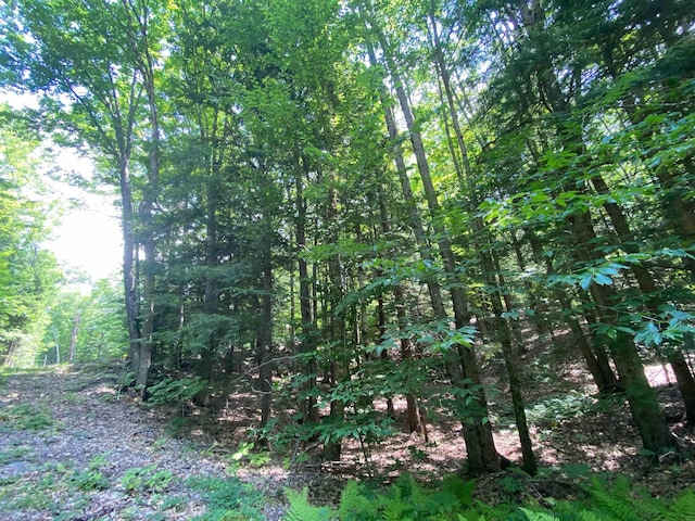 Tyler Way, Bath, NH 03740