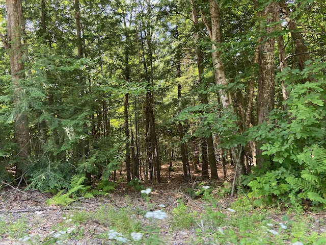 Tyler Way, Bath, NH 03740