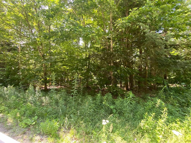 Tyler Way, Bath, NH 03740