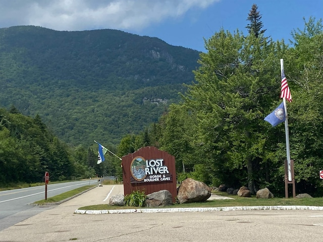 Tyler Way, Bath, NH 03740