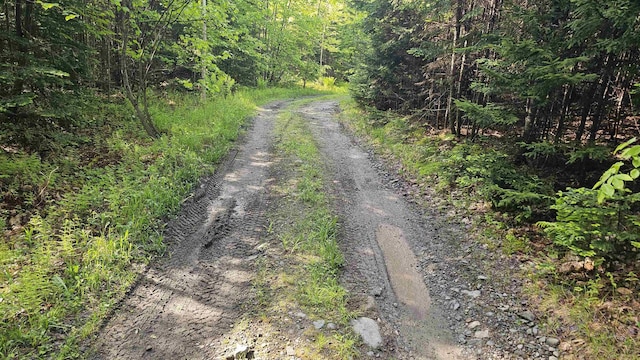 00 Hurlbut Hill Ln, Waterford, VT 05819