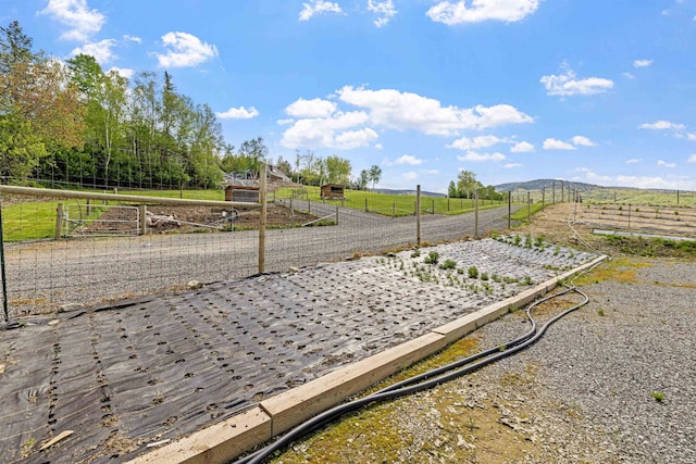126 Stoddard Rd, Columbia, NH 03576 - view of yard with a view of rural / pastoral area
