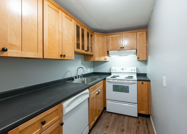 17 Silvestri Cir Unit 4, Derry, NH 03038 - kitchen featuring white appliances, a sink, under cabinet range hood, dark countertops, and dark wood-style flooring