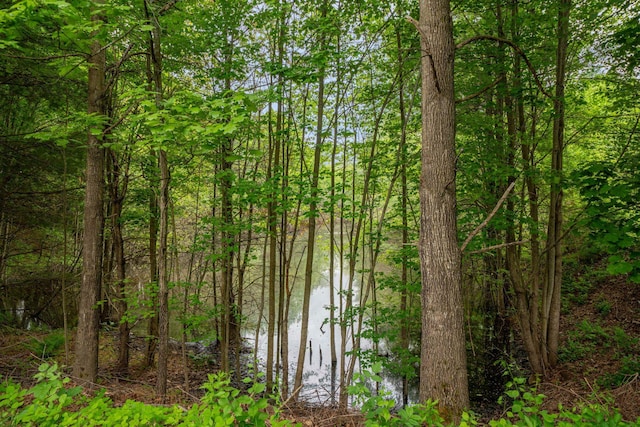 40 Trolley St, Manchester, NH 03103 - water view with a heavily wooded area