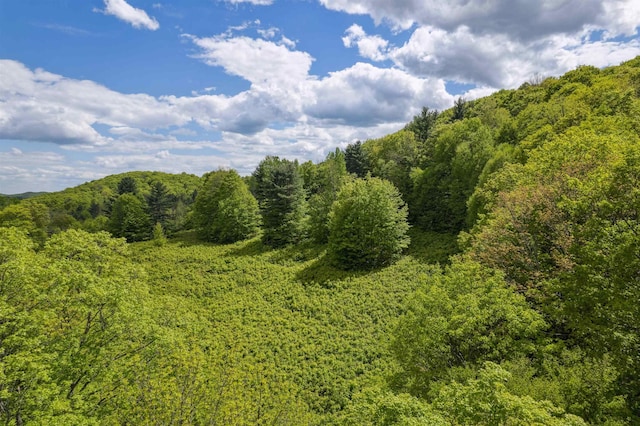 0 Rowell Rd, Vershire, VT 05079