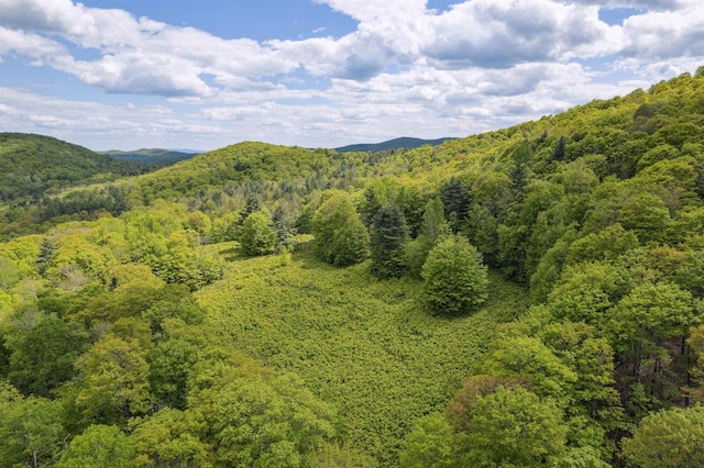 0 Rowell Rd, Vershire, VT 05079
