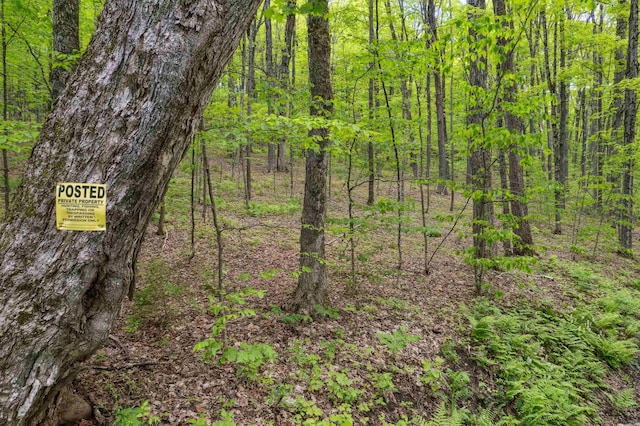 0 Rowell Rd, Vershire, VT 05079