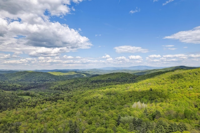 0 Rowell Rd, Vershire, VT 05079