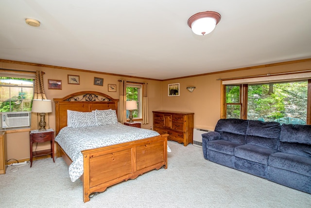 62 Thoreau Trl, Wakefield, NH 03830