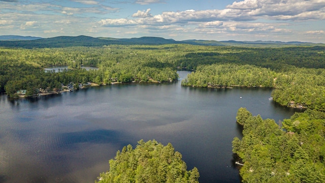 62 Thoreau Trl, Wakefield, NH 03830