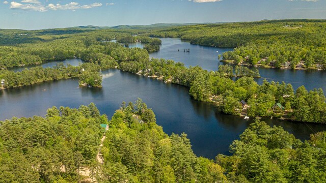 62 Thoreau Trl, Wakefield, NH 03830