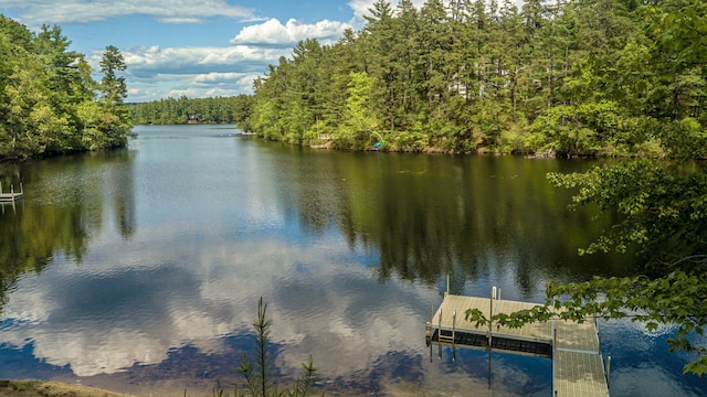 62 Thoreau Trl, Wakefield, NH 03830