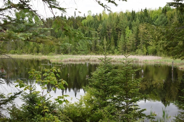 364 Rte 3 S, Carroll, NH 03595