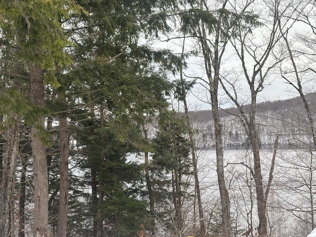 00 Vt Route 114, Warren Gore, VT 05846