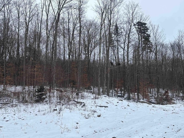 00 Vt Route 114, Warren Gore, VT 05846