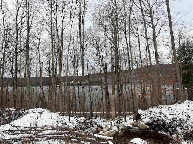 00 Vt Route 114, Warren Gore, VT 05846