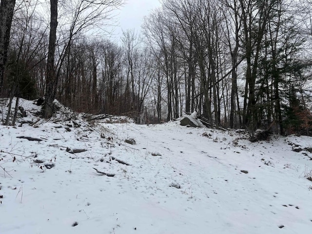 00 Vt Route 114, Warren Gore, VT 05846