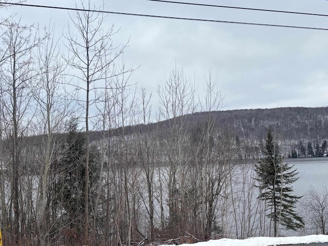 00 Vt Route 114, Warren Gore, VT 05846