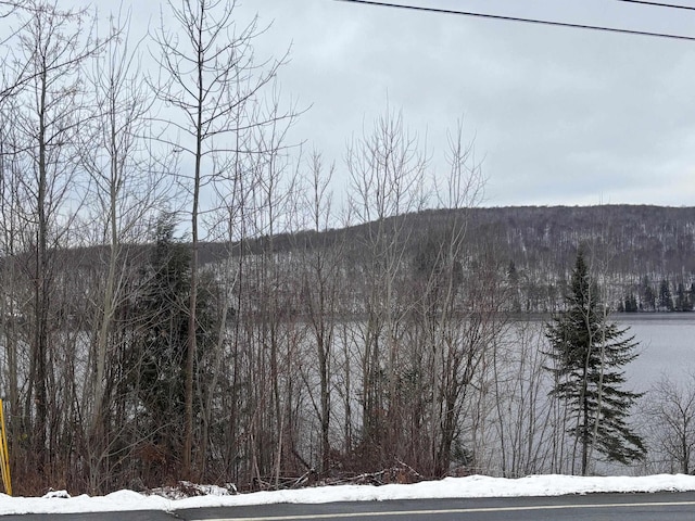 00 Vt Route 114, Warren Gore, VT 05846