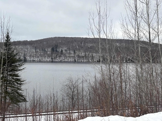 00 Vt Route 114, Warren Gore, VT 05846