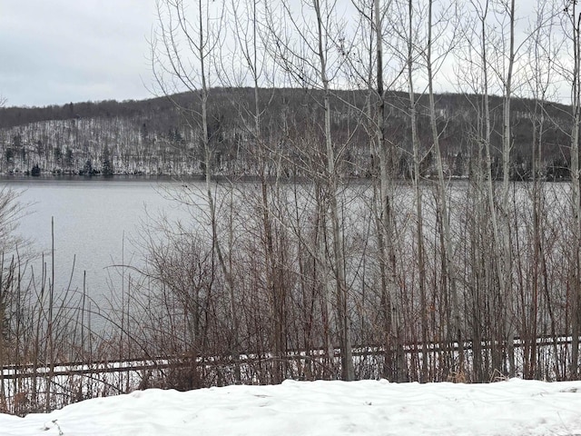 00 Vt Route 114, Warren Gore, VT 05846