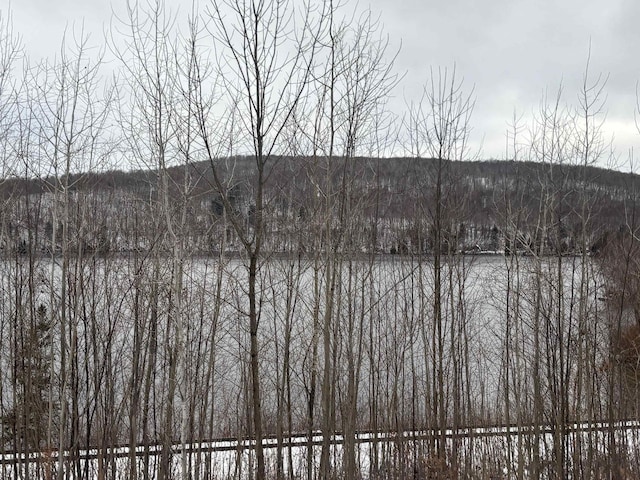 00 Vt Route 114, Warren Gore, VT 05846