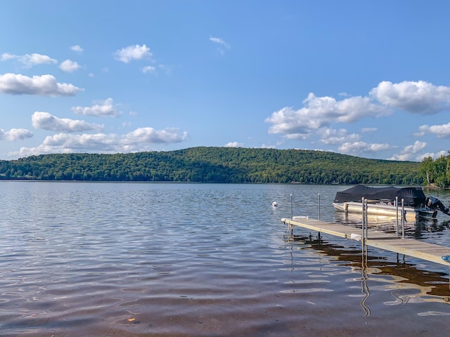 00 Vt Route 114, Warren Gore, VT 05846