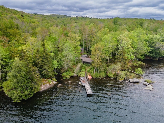 138 Miller Dr, Nelson, NH 03457 - water view with a heavily wooded area and a boat dock