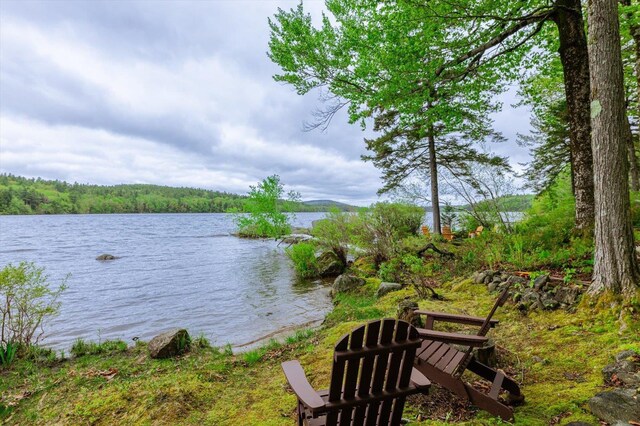 138 Miller Dr, Nelson, NH 03457 - water view with a forest