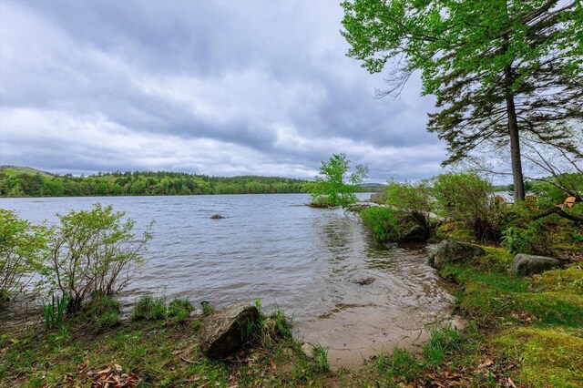 138 Miller Dr, Nelson, NH 03457 - water view with a forest