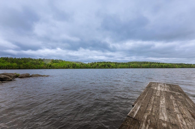 138 Miller Dr, Nelson, NH 03457 - dock area featuring a water view and a view of trees