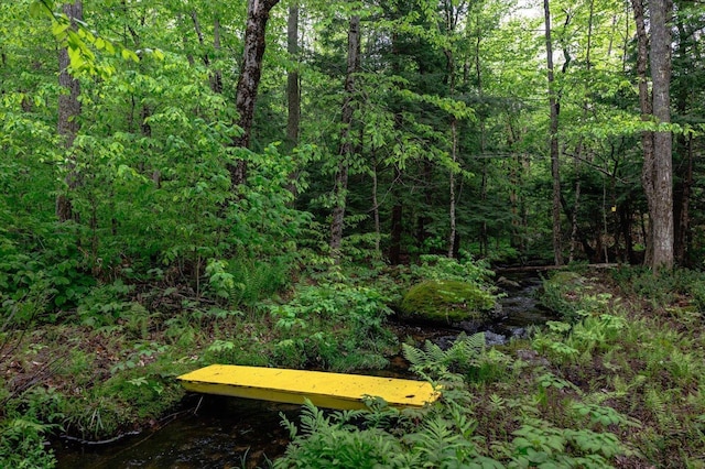 138 Miller Dr, Nelson, NH 03457 - view of woods