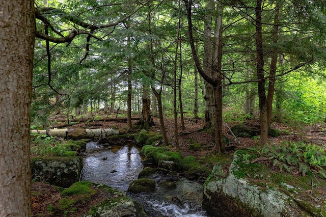138 Miller Dr, Nelson, NH 03457 - view of wooded area