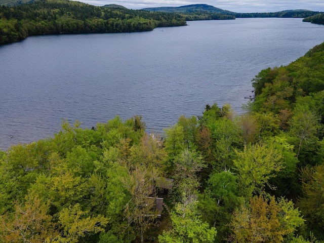 138 Miller Dr, Nelson, NH 03457 - water view featuring a forest