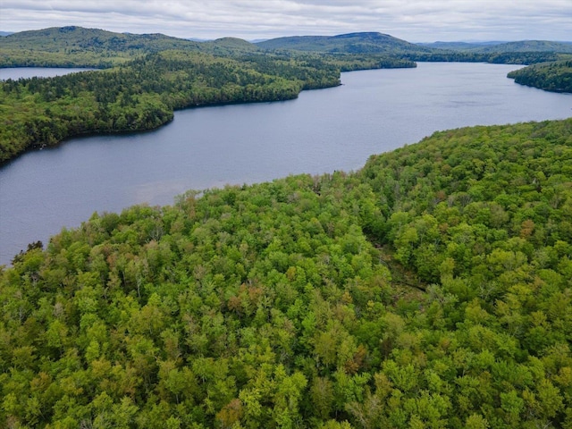 138 Miller Dr, Nelson, NH 03457 - drone / aerial view of a heavily wooded area and a water and mountain view