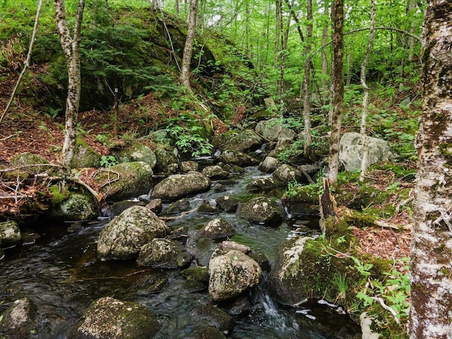 138 Miller Dr, Nelson, NH 03457 - view of nature