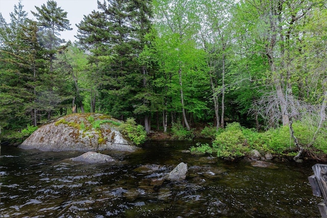 138 Miller Dr, Nelson, NH 03457 - view of nature