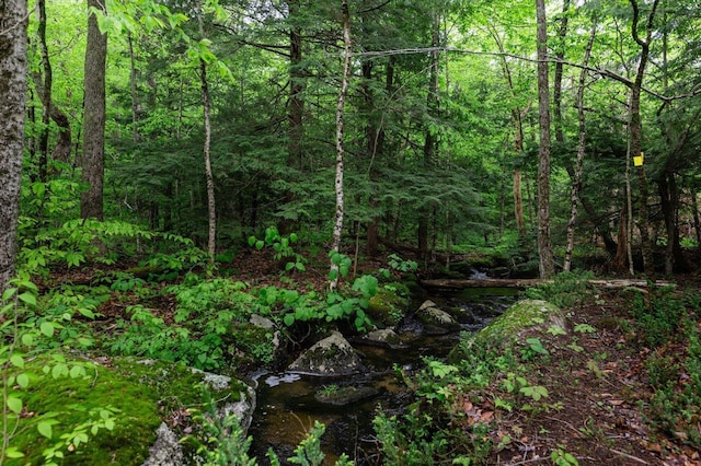 138 Miller Dr, Nelson, NH 03457 - view of wooded area