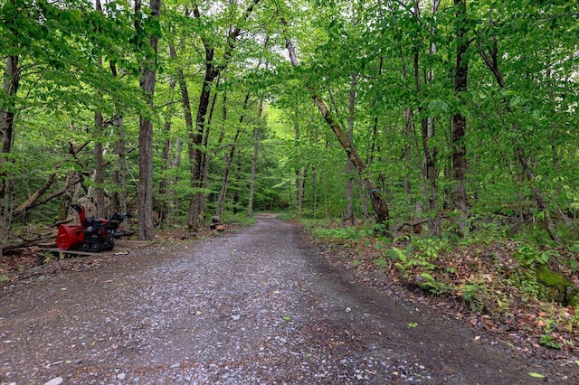 138 Miller Dr, Nelson, NH 03457 - view of street with a wooded view