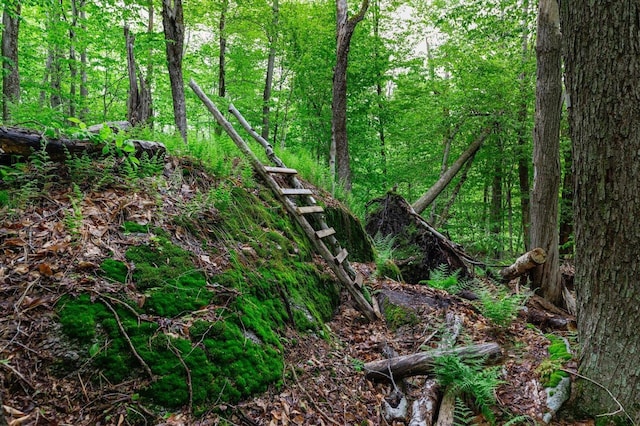 138 Miller Dr, Nelson, NH 03457 - view of wooded area