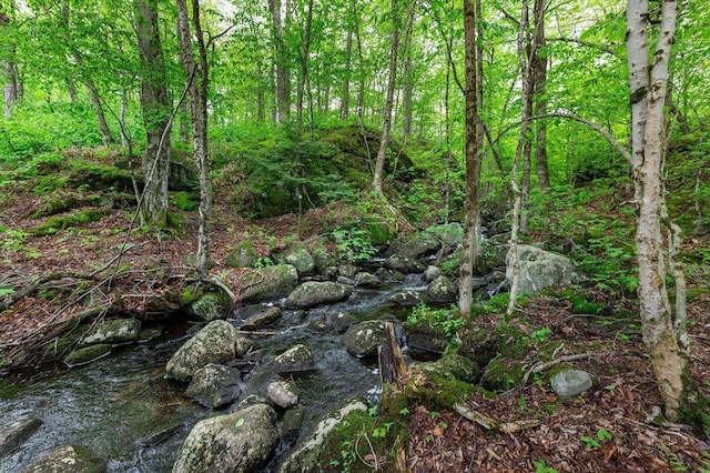 138 Miller Dr, Nelson, NH 03457 - view of tree filled area