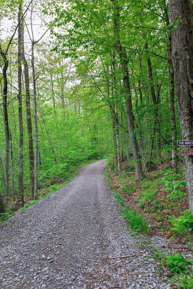 138 Miller Dr, Nelson, NH 03457 - view of road featuring a forest view