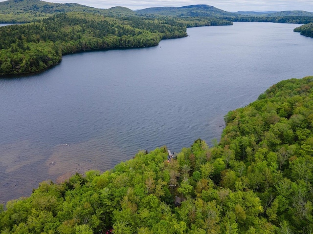138 Miller Dr, Nelson, NH 03457 - drone / aerial view of a nearby body of water and a heavily wooded area