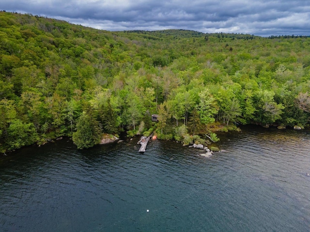138 Miller Dr, Nelson, NH 03457 - drone / aerial view of a heavily wooded area and a nearby body of water