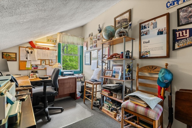 122 Wallace Rd, Northfield, VT 05663 - office featuring carpet flooring, a textured ceiling, and vaulted ceiling