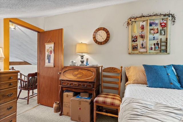 122 Wallace Rd, Northfield, VT 05663 - carpeted bedroom with a textured ceiling and vaulted ceiling