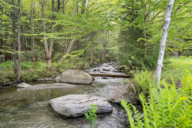 122 Wallace Rd, Northfield, VT 05663 - view of woods