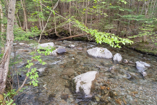 122 Wallace Rd, Northfield, VT 05663 - view of nature
