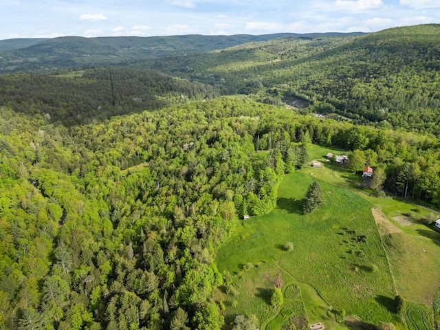 122 Wallace Rd, Northfield, VT 05663 - aerial view of property's location with a forest and a mountain backdrop